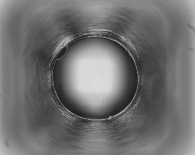 X0000096451362200802071801