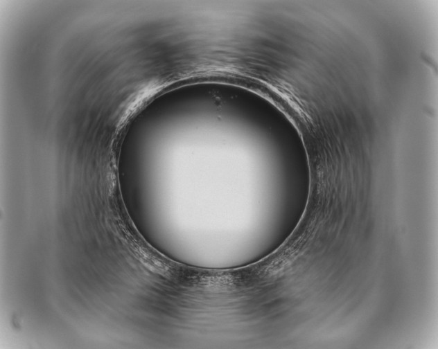 X0000096451363200802071801