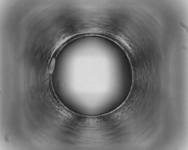 X0000096451364200802071801