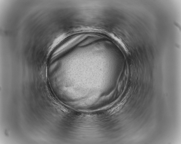 X0000096451365200802071801