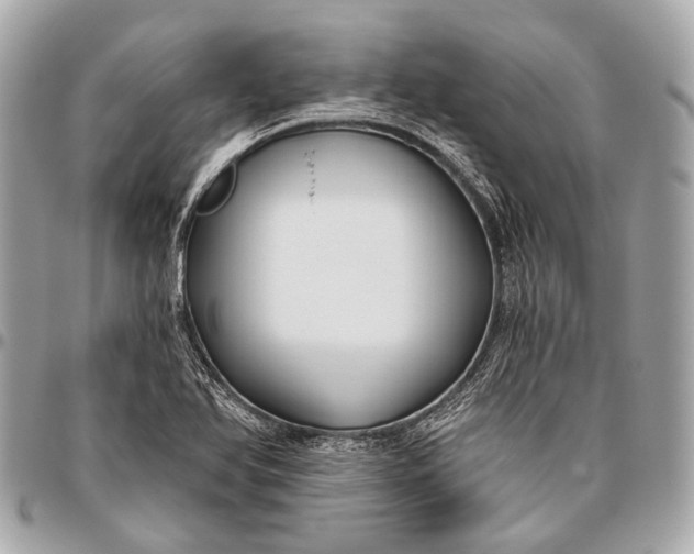 X0000096451366200802071801