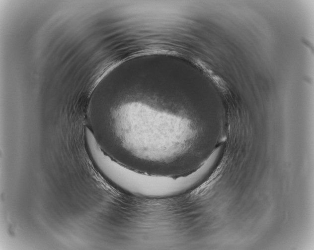 X0000096451369200802071801