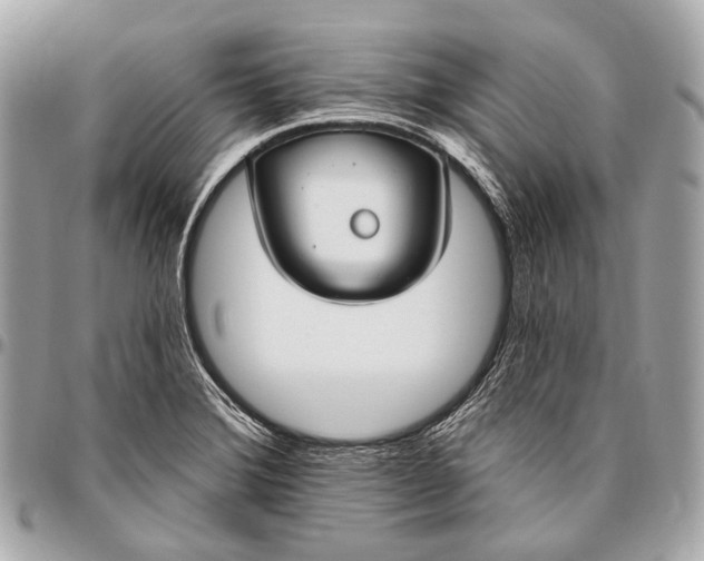 X0000096451372200802071801