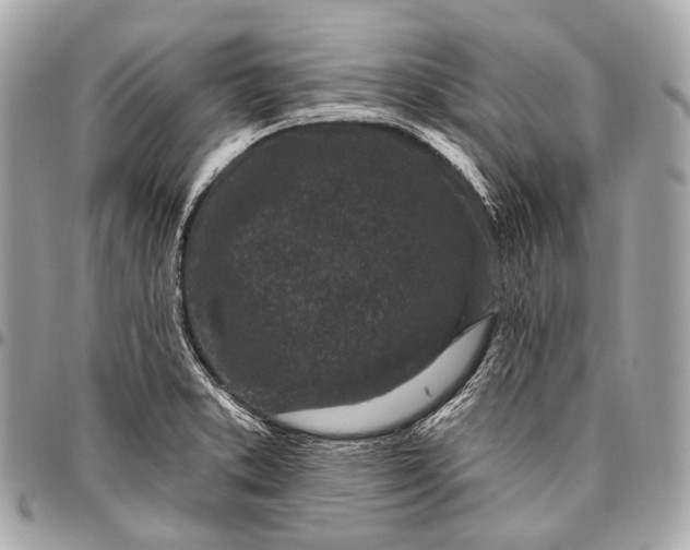 X0000096451373200802071801