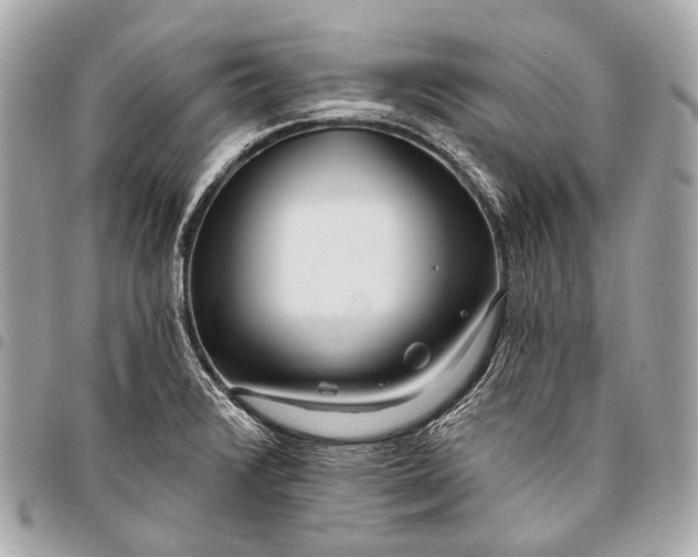 X0000096451376200802071801