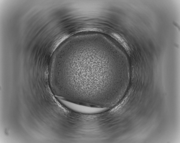 X0000096451377200802071801