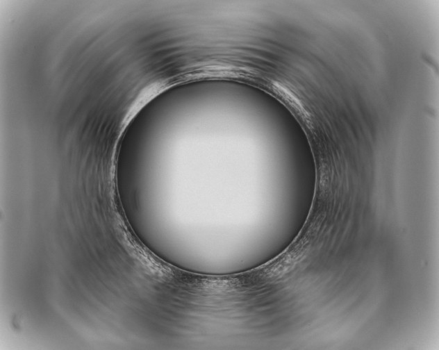 X0000096451378200802071801