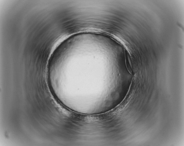 X0000096451379200802071801