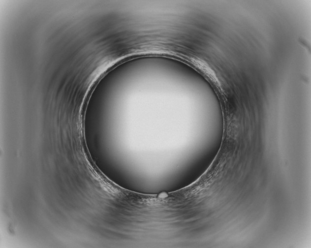 X0000096451380200802071801