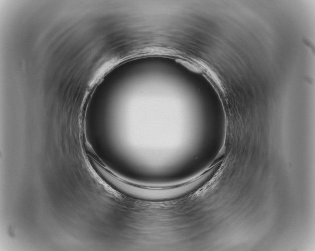 X0000096451381200802071801