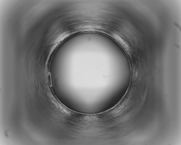 X0000096451384200802071801