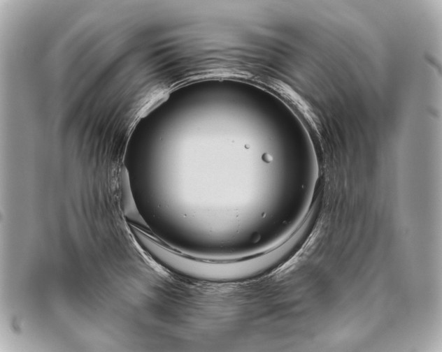 X0000096451385200802071801