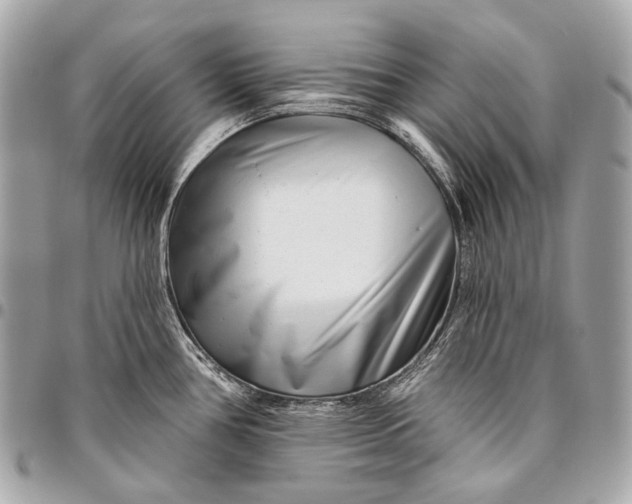 X0000096451386200802071801