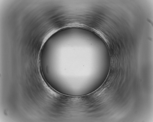 X0000096451387200802071801