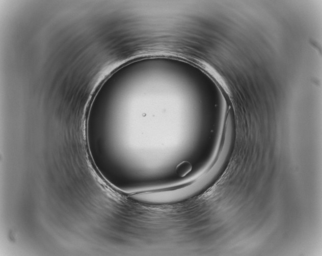 X0000096451388200802071801