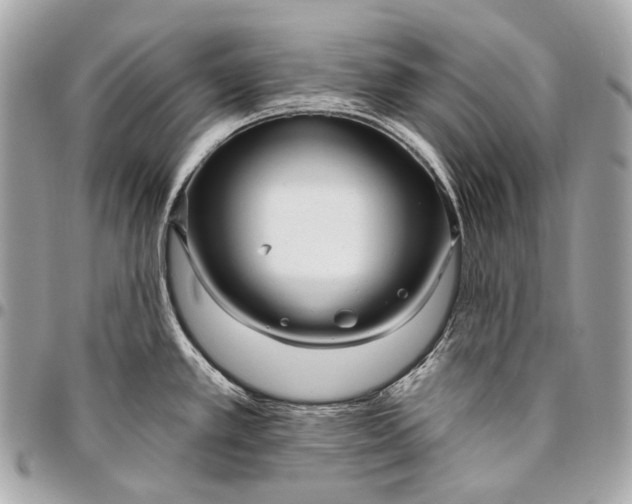 X0000096451389200802071801