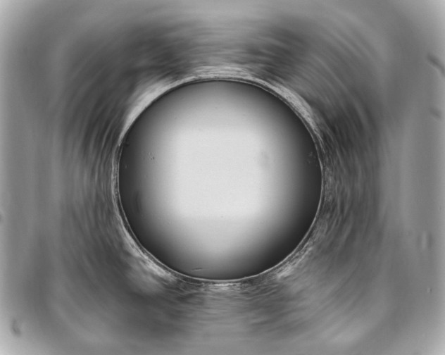 X0000096451390200802071801