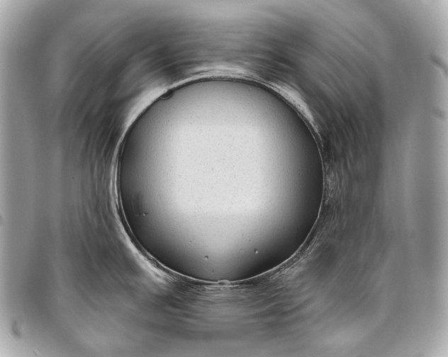 X0000096451391200802071801