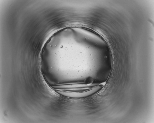 X0000096451392200802071801