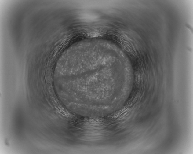 X0000096451393200802071800