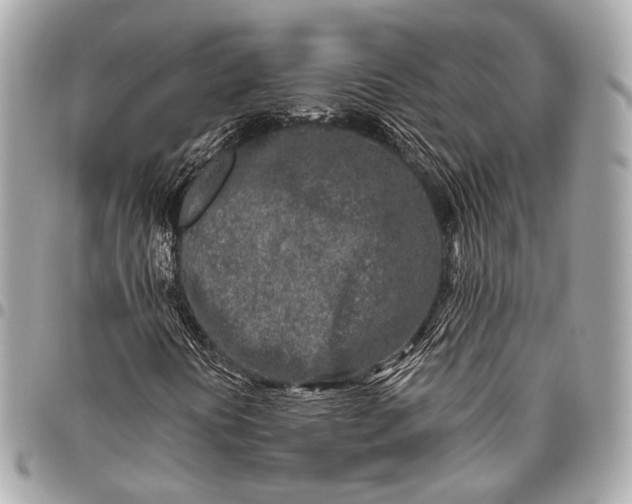 X0000096451394200802071800