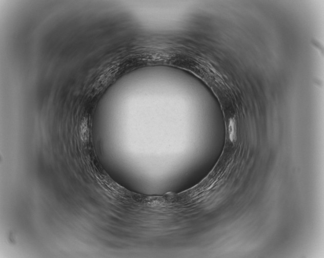 X0000096451395200802071800