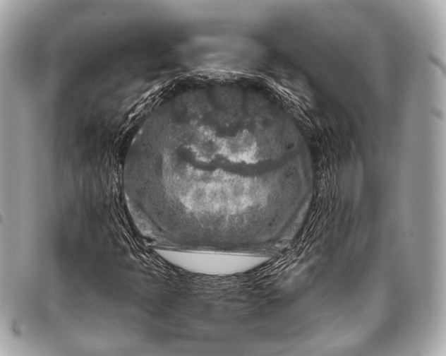 X0000096451397200802071800