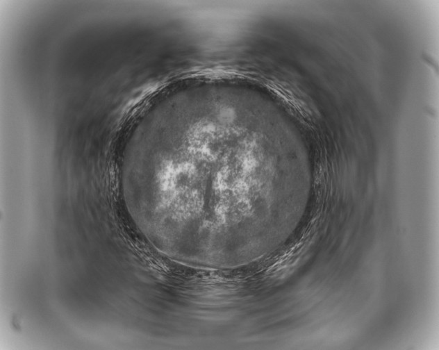 X0000096451398200802071800