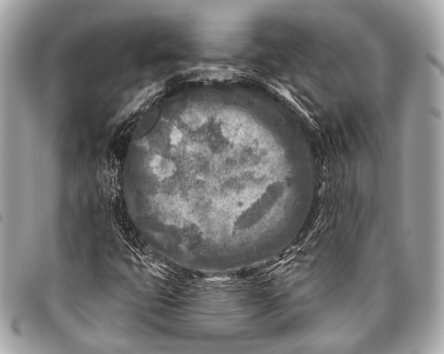 X0000096451399200802071800