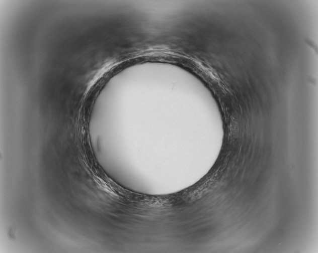 X0000096451400200802071800