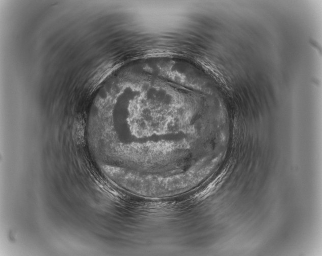 X0000096451401200802071801