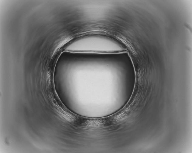 X0000096451402200802071801