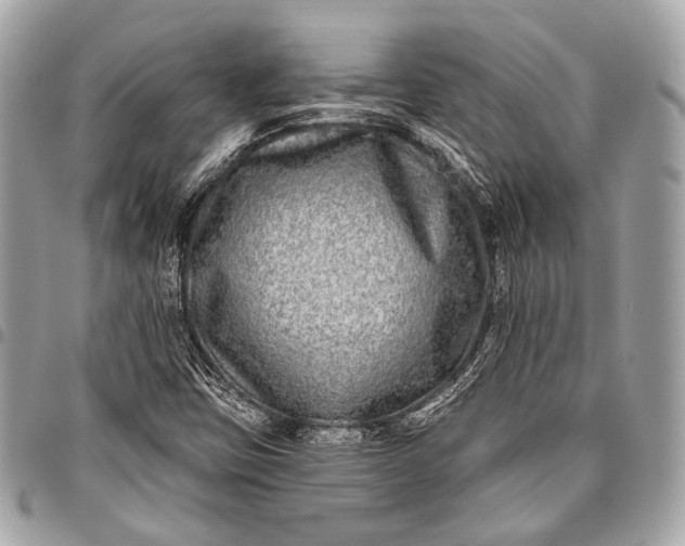 X0000096451403200802071801