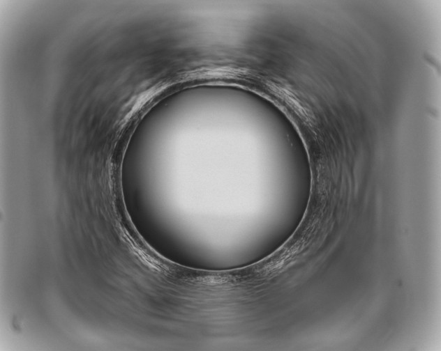 X0000096451404200802071801