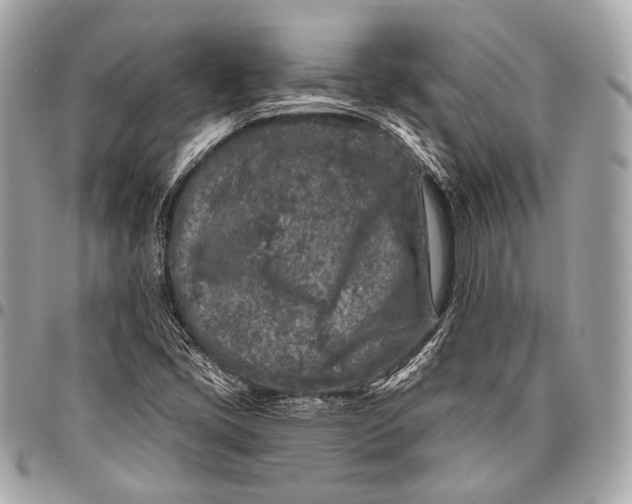 X0000096451405200802071801