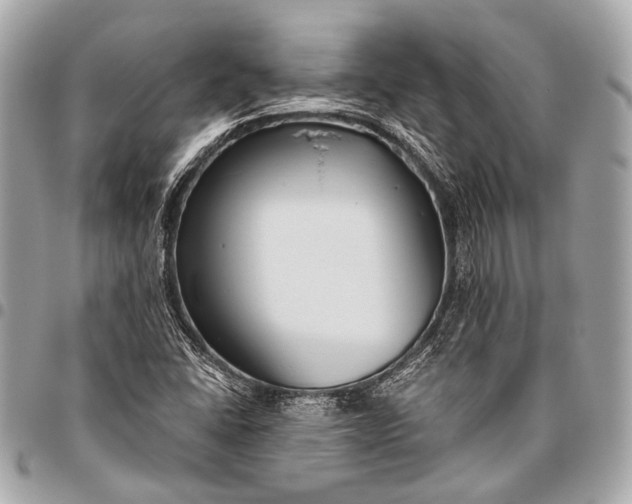 X0000096451406200802071801