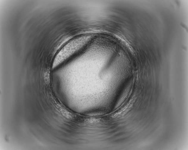 X0000096451409200802071801