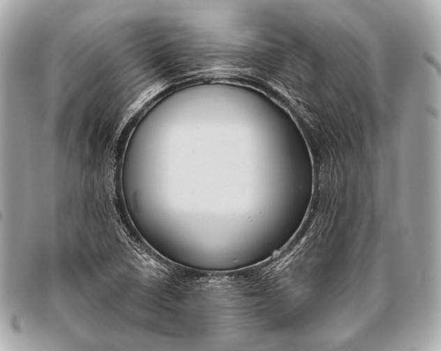 X0000096451410200802071801