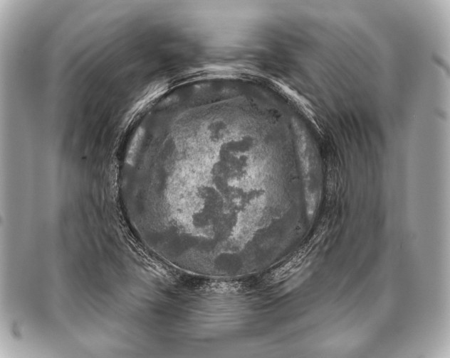 X0000096451411200802071801