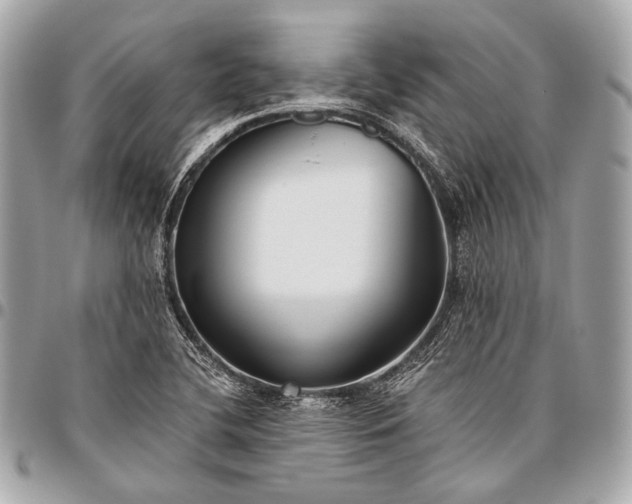 X0000096451412200802071801