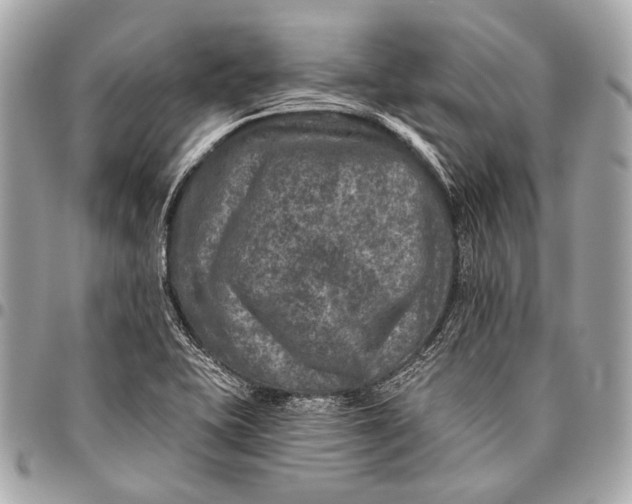 X0000096451415200802071801