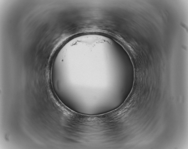 X0000096451416200802071801