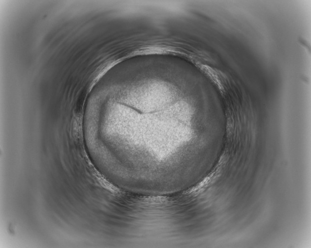 X0000096451417200802071801