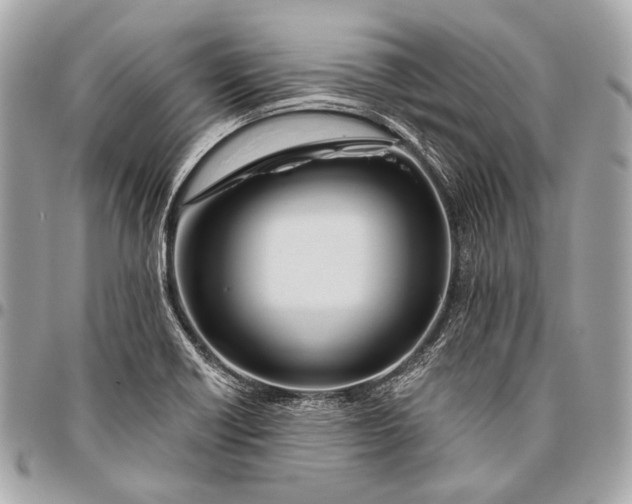 X0000096451418200802071801