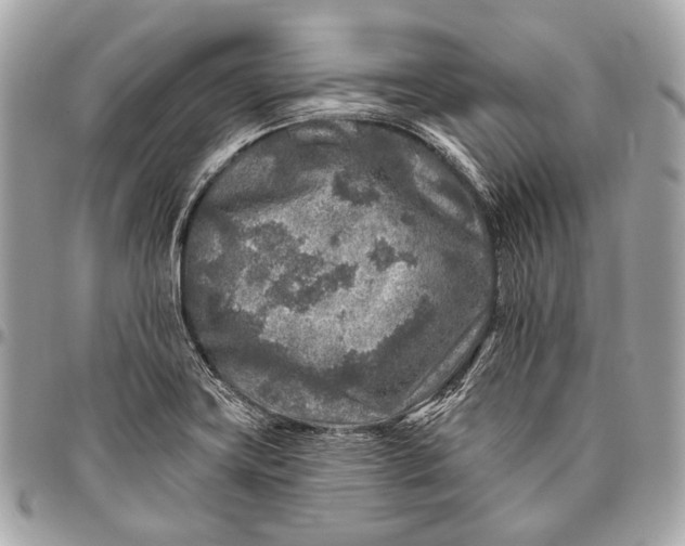 X0000096451419200802071801