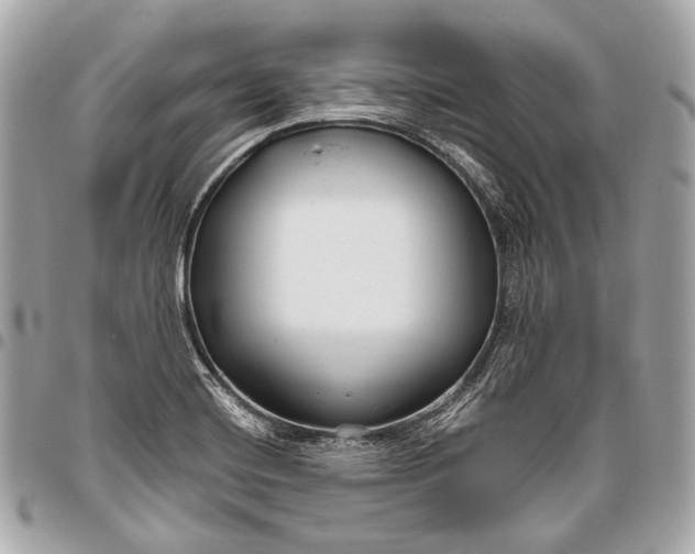 X0000096451420200802071801