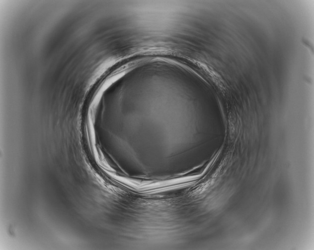 X0000096451422200802071801