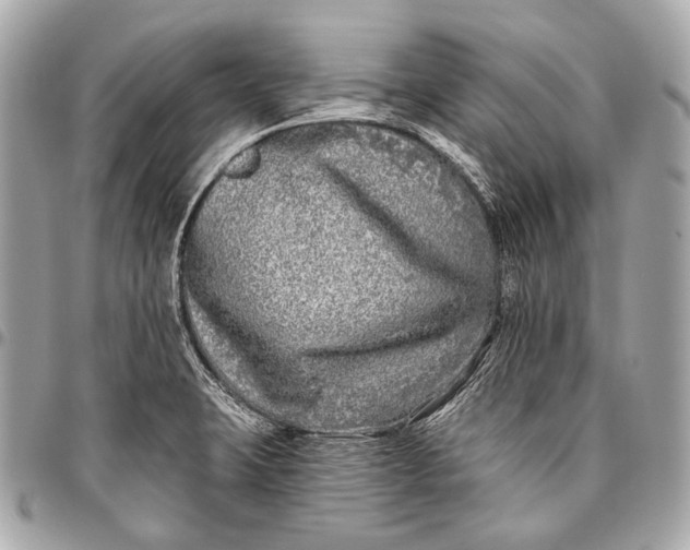 X0000096451423200802071801