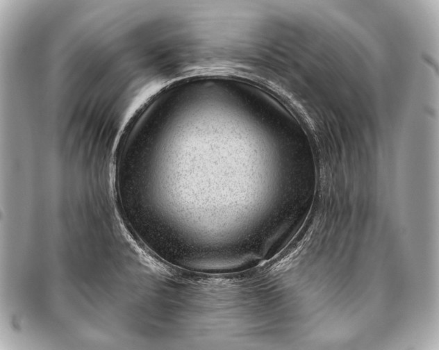 X0000096451424200802071801