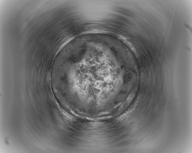 X0000096451425200802071801